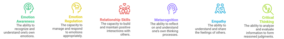 Six social-emotional skills: Emotion Awareness, Emotion Regulation, Relationship Skills, Metacognition, Empathy, Critical Thinking